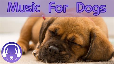 Calming Soothing Music For Dogs And Puppies Relaxing Music For