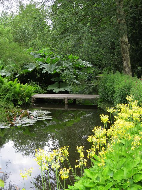 Longstock Water Garden - Seeing Waitrose in a New Light - The Garden Visitor
