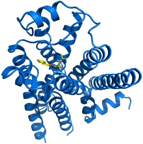 Scientists Unveil Structure Of Common Drug Target National Institutes