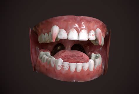 Great Teeth Collection Mouth For Character 3d Model By Zelad