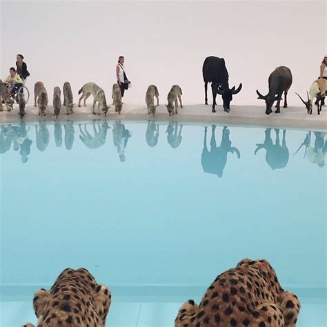 Surreal Photos Of 99 Animals Gathered Around The Ultimate Watering Hole