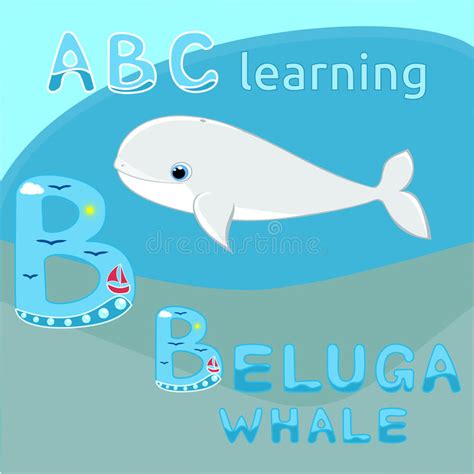 Baby Beluga Whale Vector Illustration Cute Cartoon White