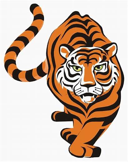 Tiger Lsu Clipart Tigers Clip Orange Bengal