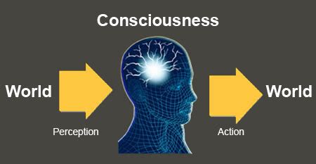 In the normal waking state. Opinions on Consciousness