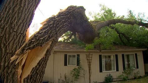 Seattle Area Windstorm Leaves 2 Dead Thousands Without Power Nbc News