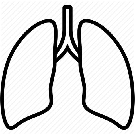 Lungs Clipart Lung Outline Lungs Lung Outline Transparent