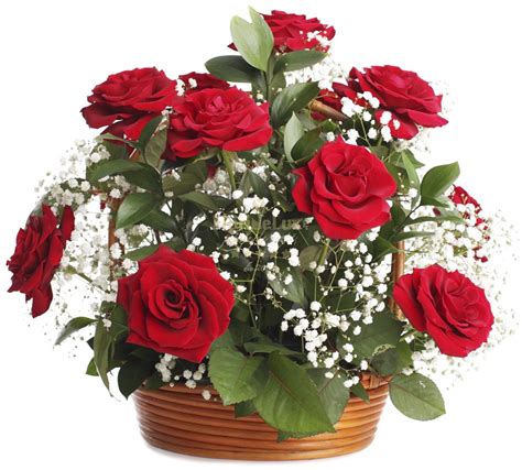 Red Roses Basket In Romania Flower Delivery