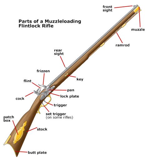 Parts Of A Muzzleloader Firearm