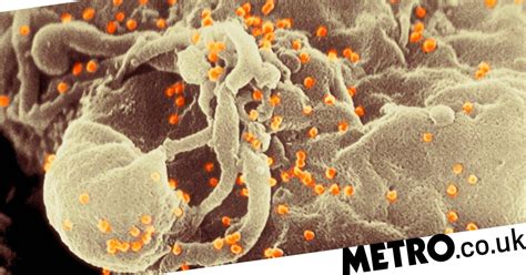 Scientists Identify The First New Strain Of Hiv In 19 Years Metro News