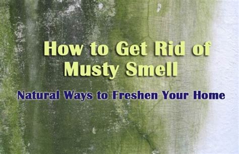 How To Get Rid Of Musty Smell 10 Best Ways For Musty Odor Removal