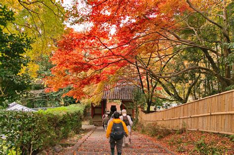 The Best Places to Visit in Japan During Autumn