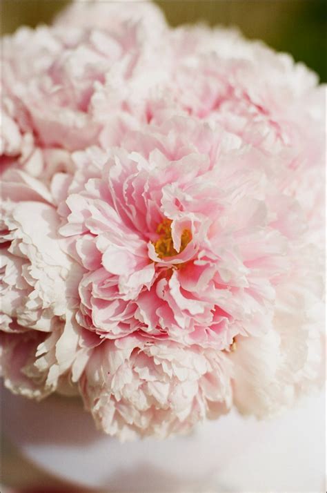 Romantic Pink Peony Wedding Flowers