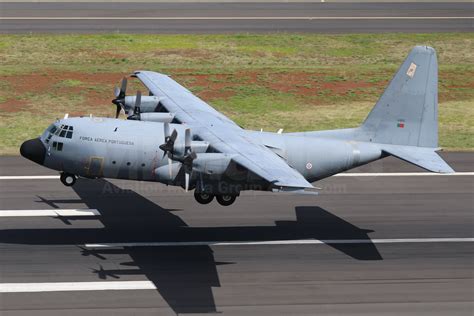 Portugal Air Force Lockheed C 130h Hercules L 382 16805 V1images