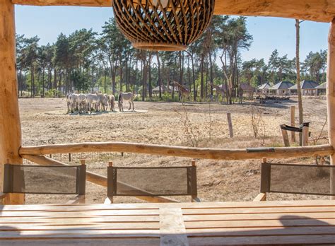 Wij sliepen 4 nachten in een savanne lodge op het safari resort. Safari Resort Beekse Bergen in Hilvarenbeek - de beste ...