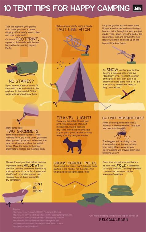 The Ultimate Camping Guide Infographics