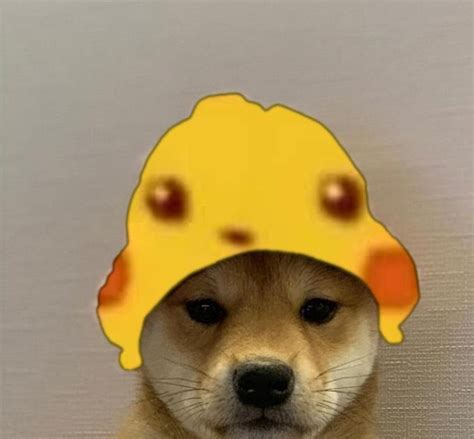 Doge Dog Pfp Doge Is The Original Character Of The Dogelore Universe