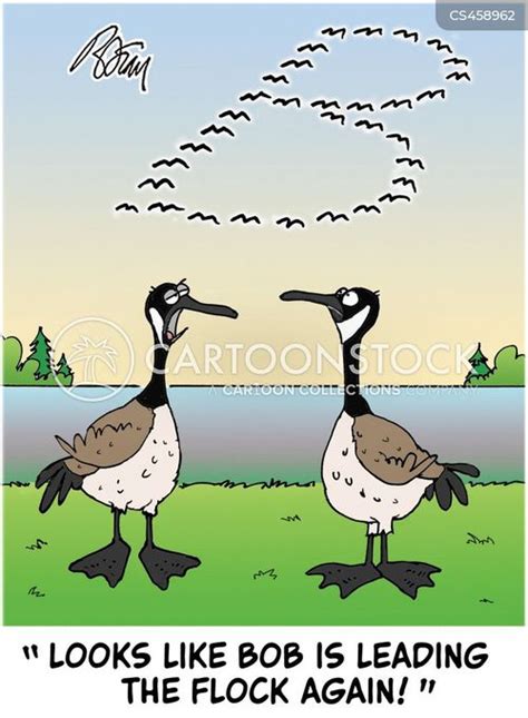 Canadian Geese Cartoons And Comics Funny Pictures From Cartoonstock