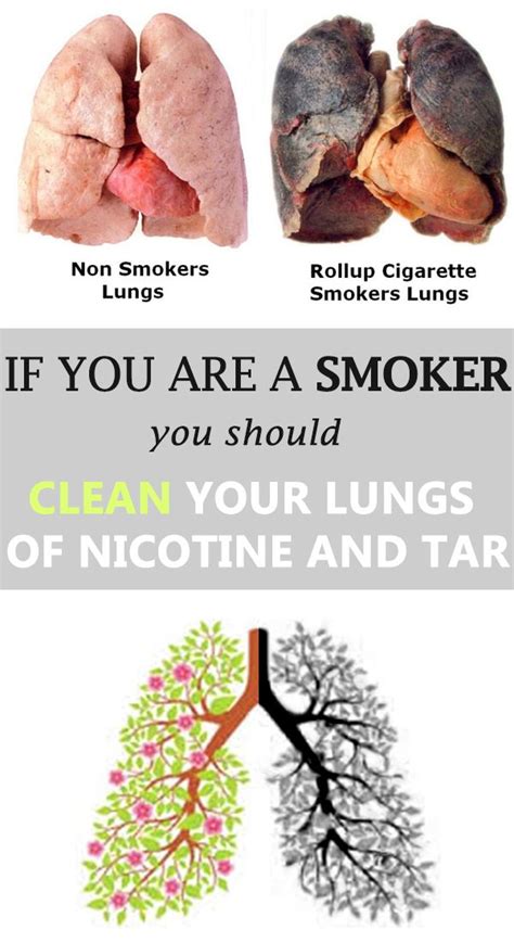 Though everyone thinks about food and nutrition before anything else when they want to improve their health, what singers and people who play musical instruments spend a lot of time practising how to breathe at their maximum capacity. Pin on Cleaning Tips