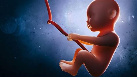 Komplikasi di sepanjang kehamilan juga dapat meningkatkan risiko kematian bayi dalam kandungan seperti berikut IUFD Adalah Kematian Janin dalam Kandungan, Mengapa Bisa ...