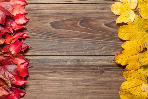Autumn Leaves On Table Stock Image Image Of Design Border 46396743