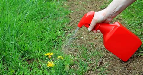 If you are the do it yourself type of person, and your lawn already has weeds then you can get treatment kits at your local hardware or gardening store. Budget DIY Weed Killer