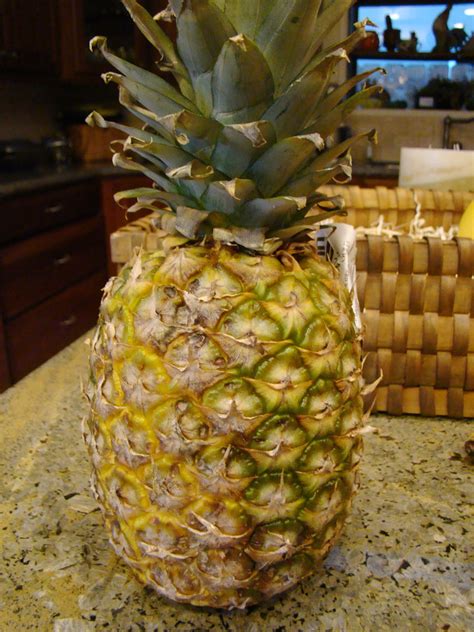 Pineapple Pineapple Contains A Proteolytic Enzyme Bromelai… Flickr