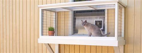 It features directions to reuse your box by building a cat condo, a rocket ship, a robot costume, a car, a you can use the qr code on your box to head to amazon.com/thisbox and find out how to put together the creations. Catios: Learn how to keep cats happy and safe outdoors