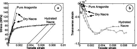 A Tensile Stress Strain Curve For Aragonite Nacre In Dry Condition Download Scientific