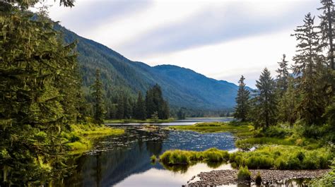 Tongass Nat Forest Protected Environmental Watch