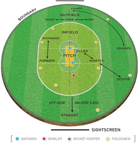 Diagram Diagram Of Cricket Field Mydiagramonline