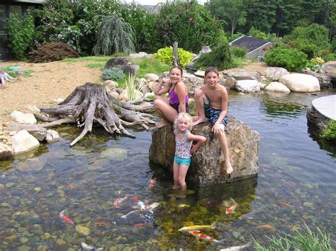 Fish And Koi Pond Project Photos And Ideas Nh Chester Rockingham County New