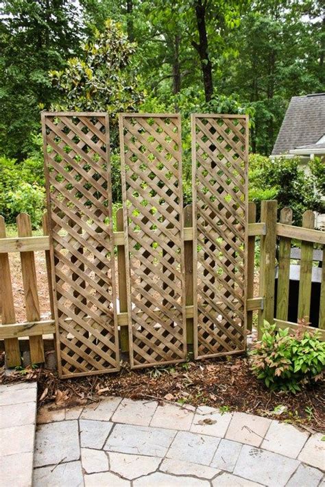 Create A Living Wall Lattice Privacy Screen With Images Backyard