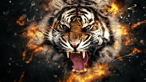 3D Tiger HQ Desktop Wallpaper 22782 - Baltana