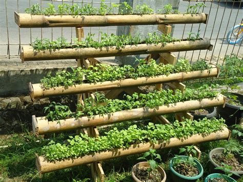 Berkebun Dilahan Sempit 3 Tips Budidaya Sayur Di Lahan Sempit Taman