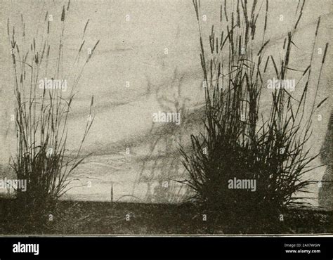 Principal phases hi-res stock photography and images - Alamy