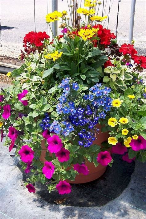 35 Gorgeous Summer Container Garden Flowers Ideas Container Gardening