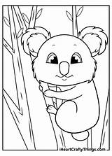 Koalas Koala Iheartcraftythings sketch template