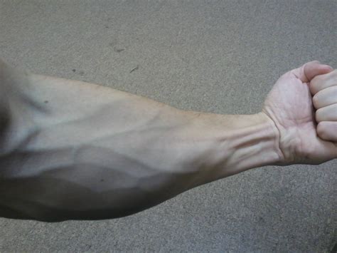 Forearm Strength Men Of The West