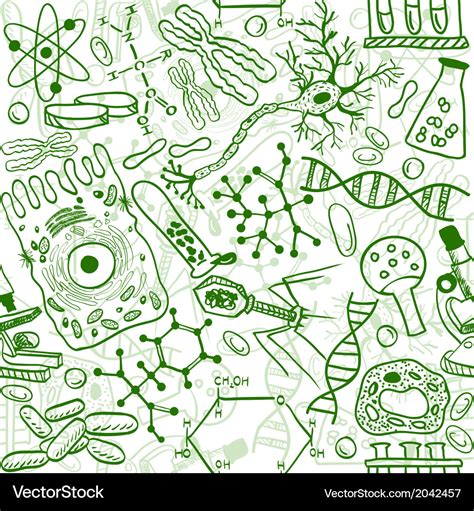 Biology Drawings Royalty Free Vector Image Vectorstock