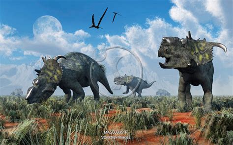 A Herd Of Pachyrhinosaurus Dinosaurs Stocktrek Images