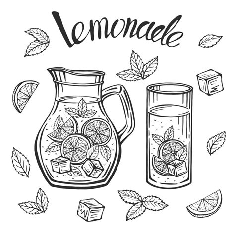 Glass Jug With Lemonade Sketch Of Homemade Lemonade Summer