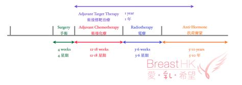 Treatment Timelineadjuvant Breast Cancer Hk 香港的乳癌治療資訊
