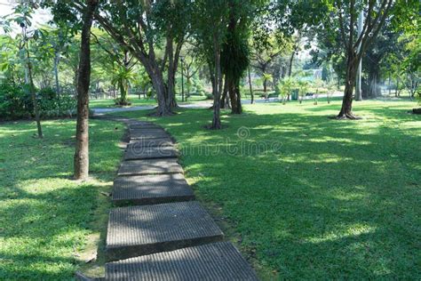 Pathway In A Lush Park Stock Photo Image Of Green Walkway 107777070