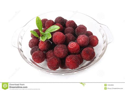 Waxberry Stock Photo Image Of Refreshing Healthy Close 14554856