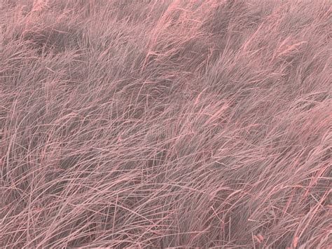 Futuristic Neon Negative Pink Color Background With Grass Leaves Stock