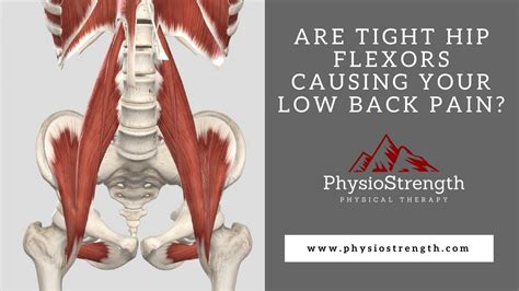 The psoas muscle is located in the lower lumbar region of the spine and extends through the pelvis to the femur. Are Tight Hip Flexors Causing Your Low Back Pain - YouTube