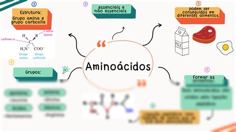 Solution Amino Cidos Bioqu Mica Mapa Mental Studypool