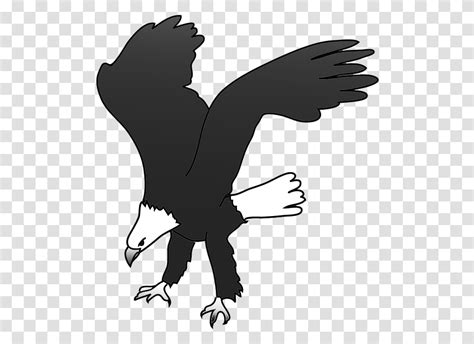 Bald Eagle Bird Silhouette Clip Art New Eagle Landing Clipart Animal
