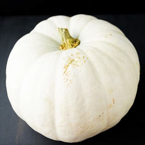 Tomorrowseeds White Queen Pumpkin Seeds 20 Count Packet Fall