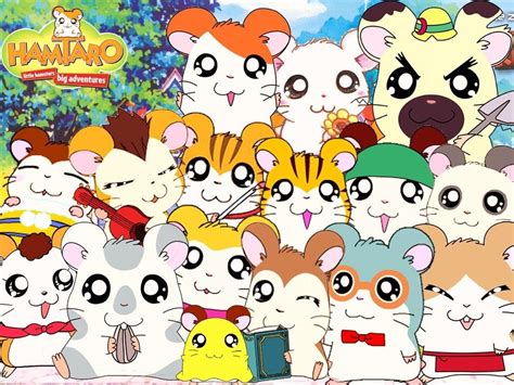 Top Tv Shows That Every Canadian 90s Kid Has Seen Hamtaro Old